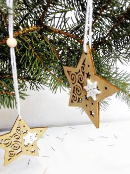 Weihnachtsstern mit weißer Schneeflocke